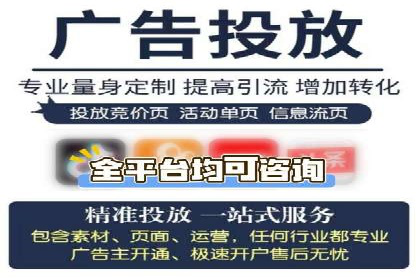 行业领先企业的SEM代理案例剖析